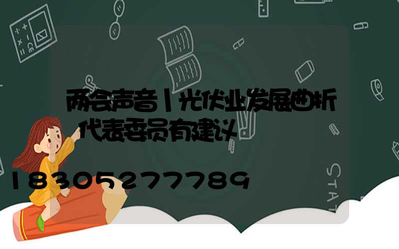 两会声音丨光伏业发展曲折 代表委员有建议